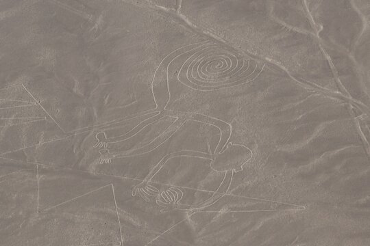 Le singe - ligne de Nazca