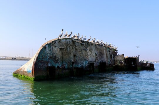 Epave de bateau aux &icirc;les Ballestas de Paracas - P&eacute;rou
