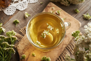 Herbal tea in a glass cup with fresh yarrow or Achillea millefolium flowers