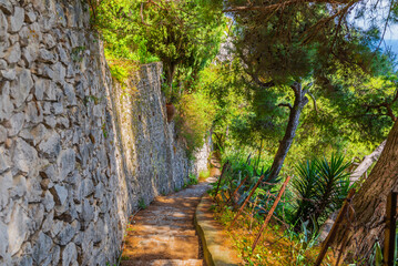 The wonderful island of Capri, amalfi coast, bay of naples, italy