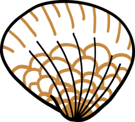 Doodle freehand drawing of seashell.	