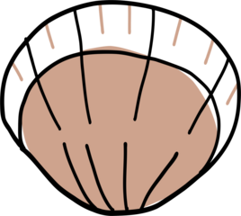 Doodle freehand drawing of seashell.	