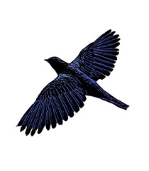 Ilustration of blue bird design isolated 