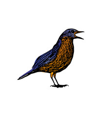 Ilustration of blue bird design isolated 