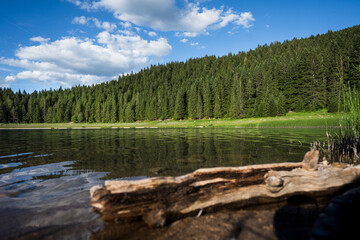 Der schwarze See oder Crno Jezero ist ein Gletschersee und ein Higlight in Durmitor in Montenegro,...