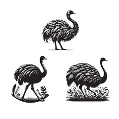 ostrich set pen size,ostrich set bird size ,ostrich set silhouette,ostrich set silhouette images ,ostrich setsilhouette png

