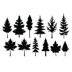 Obraz premium various maple field leaf silhouettes on a white background isolated 