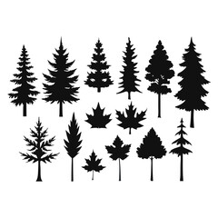 Obraz premium various maple field leaf silhouettes on a white background isolated 