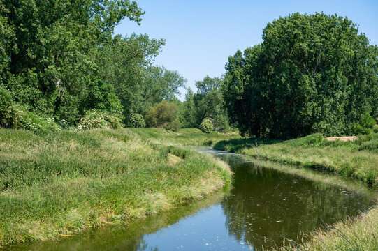 The Vliet creek through the green meadows around Hingene, Antwerp Province, Belgium
