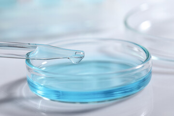 Dripping liquid from pipette into petri dish at white table, closeup