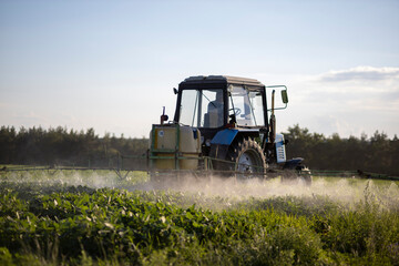 Fototapeta premium A tractor with a sprayer sprinkles soybean herbicide