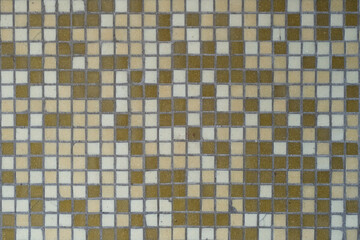 Ceramic tile wall texture. Background and texture for design.