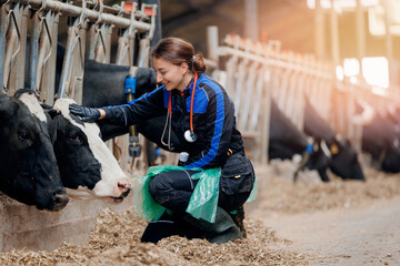 Young woman veterinarian in uniform taking care of health of cow on cattle farm. Concept love to...