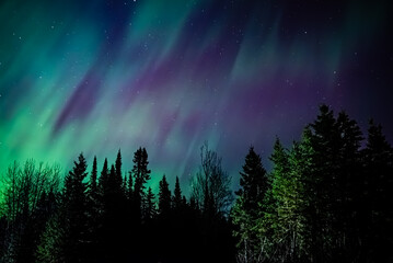 Celestial Symphony: Northern Lights