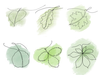 Tree leaves, lineart set of green leaves