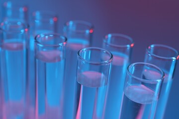 Many glass test tubes on color background, closeup