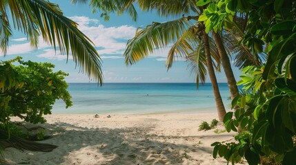 sandy beach in a tropical paradise