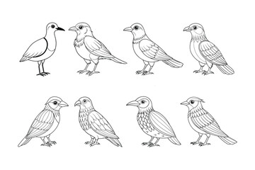 set of birds on a white background silhouette line art vector illustration