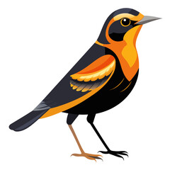 Varied Thrush Vector Illustration Detailed Avian Art for Nature Enthusiasts