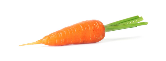 One fresh ripe carrot isolated on white