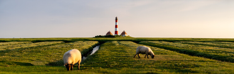 Schafe vor dem Westerhever Leuchtturm