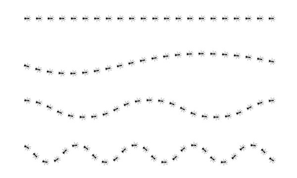 Ants trail line of working ants on white background vector illustration. A line of worker ants marching in search of food. Worker incects marching in a line. Ants road vector illustration