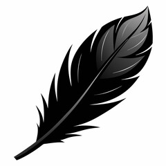 Black Feather Silhouette on White Elegant Contrast