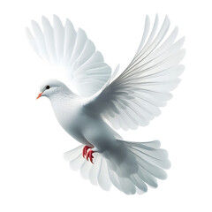 Obraz premium Dove Flying Isolated on transparent Background