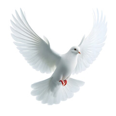 Obraz premium Dove Flying Isolated on transparent Background