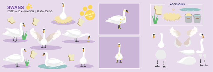 Cute animated vector swan collection ready to animate with multiple poses and positions rig ready set, animals, nature. 