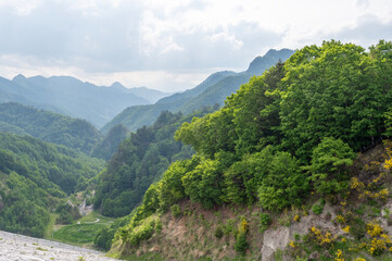 南相木ダムより望む山の景色