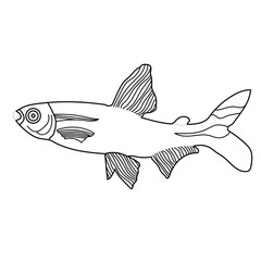 fish icon hand draw vector