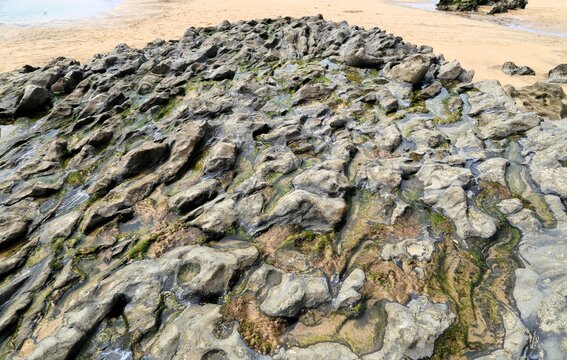 Searocks called Flysch, Spain