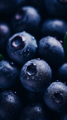 a close up of blueberries with water droplets