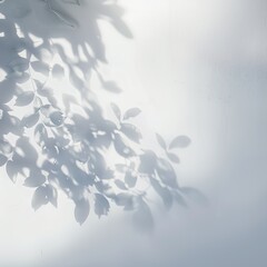 Leaf Shadows on White Surface.