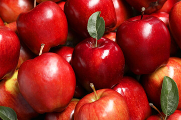 Fresh ripe red apples with leaves as background, closeup