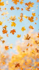 Autumn leaves against a soft pale orange backdrop. 