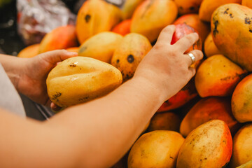 Woman selecting mangoes from a display bin, many yellow mangoes are visible in the image, with copy space
