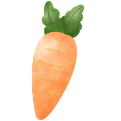 Carrot 