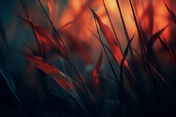 Obraz premium an artistic image of red grass in the dark