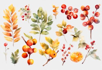 tree element object diy woodland floral greenery leaf decorative red green stationery flower elements forest botanical illustration olated twig greetingcard yellow orange rustic design