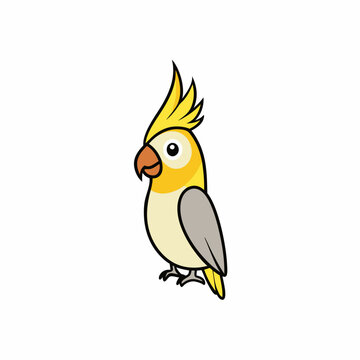 recommend clip art: Cockatiel Bird Icon Vector Illustration with Clear Legs on White Background