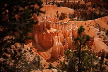 Utah hoodoos through the trees, desert landscape, red rocks, desert photography