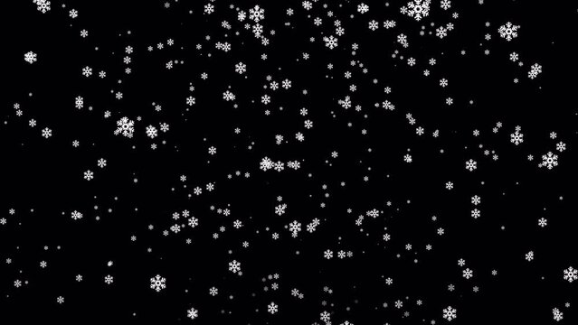 Snow falling particles animation on a transparent background