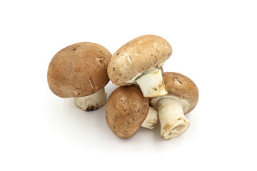 Fresh  champignon mushrooms isolated on a white background.  full depth of field.