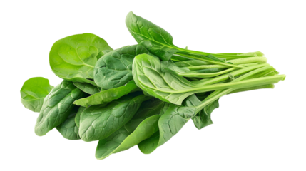 fresh spinach leaves on white background