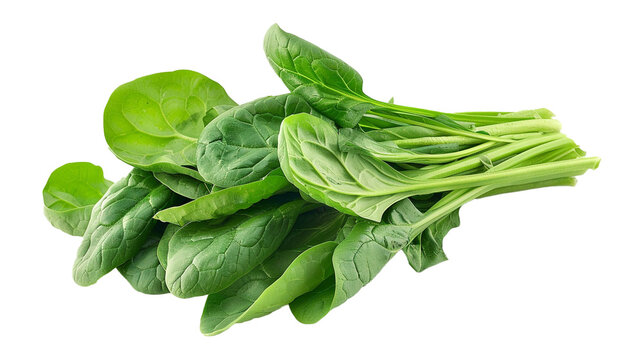 fresh spinach leaves on white background