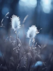 Crédence de cuisine  two white fluffy plants in the middle of a field  © AberrantRealities