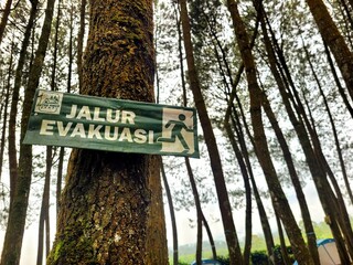 Evacuation sign in tht forest