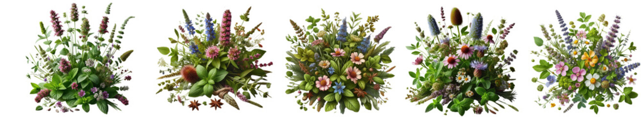 Fototapeta premium Isolated PNG of Wild Herbs and Flowers High Quality